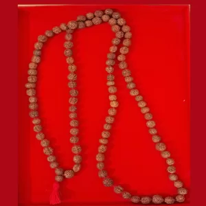 Rudraksha Mala