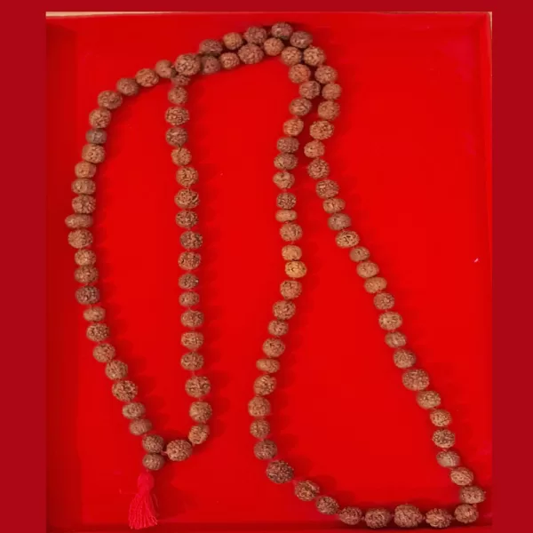 Rudraksha Mala